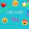 LILLY craft - @user4381363665114 - TikTok