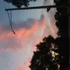 Lily Delgado - @lilydelgado1 - TikTok
