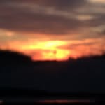 Lilly - @lilly_dill - Instagram