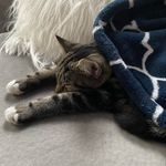 Lily Dougherty - @lily_dough14 - Instagram