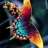user4029469922509 - @lilly.dow3 - TikTok
