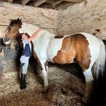 lily driver - @lilydriver_1 - Instagram