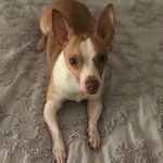 Lily Driver - @lily_driver - Instagram