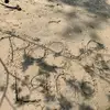 LILI_ducote - @lili_ducote - TikTok