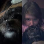 Lilly and Addison duff - @addison_and_lillybug - Instagram