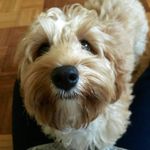 Lilly Dye - @_.lilly_may._ - Instagram