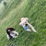 Lilly Dyer - @lillyraedyer20 - Instagram