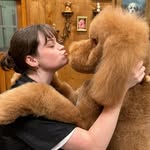 Lilly Edwards - @lillyedwardsgrooming - Instagram