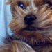 Lilly Farris - Facebook