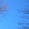 Lilly Fields 611 - @chad.fields - TikTok