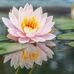 Lilly Fields - Facebook