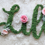 Lilly Freeman - Facebook