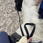 Lilly Freeman - Facebook
