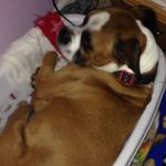 Lilly Rose Freeman - @lilly_rose4312 - Instagram