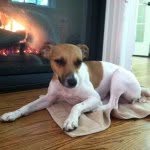 Lily Friedman - @lily_funny_positions - Instagram