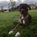 Lilly Garner - Facebook