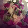 Lilly - @lillygarner1 - TikTok