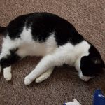 lilly gilbert - @lilly._.mae9 - Instagram