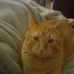 Lilly Giles - Facebook
