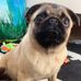 Lily Giles - Facebook
