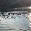 Lily.t.Gillespie - @lilytgillespie - TikTok