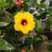 Lily Goldstein - Facebook