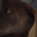 Lilly Greene - @lilly_greene.sissy - Instagram