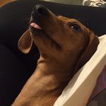 Lilly Greene - @adoxienamedlilly - Instagram