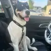 Lilly Greene - @lilly.greene18 - TikTok