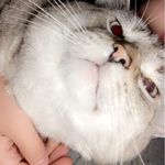 lilly - @lilly_guy845 - Instagram
