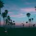 Lilly Haas - Facebook