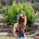 Lilly Harding - @harding.lilly - Instagram