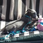 lilly harrison - @lillyharrison9 - Instagram