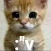 lilly - @lillyhayess - TikTok