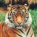 Lillie Hines - Facebook