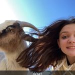 lilly🫣 - @lillyhouston2022 - Instagram