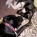 Lilly Huffman - Facebook