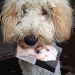 Lilly Hurst - @lilly.hurst_ - Instagram