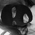 Lilly Johnson - Facebook