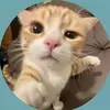 lilly - @lillyjohnsonn_ - TikTok
