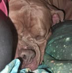 Lily Justice - Facebook