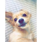 Lilly Keith Valdez 🐶 - @sillylilly._ - Instagram