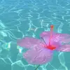 🌴lilly and Kinsey🌴 - @lil_kins.xo - TikTok