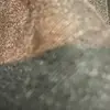 Lily kinsey - @lilykinsey2 - TikTok