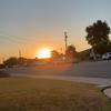 lilly_malone234 - @lilly_malone234 - TikTok