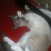 Lilly Marks  - @lijfiggjfi - TikTok