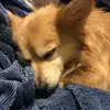 Lilly marsh - @lilly.marsh0 - TikTok