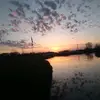 Lilly Martin - @lilly.martin7 - TikTok