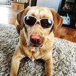 Lilly McCarty - @lilly_mccarty712 - Instagram