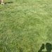 Lilly McCoy - Facebook
